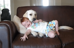 Puppy and Baby