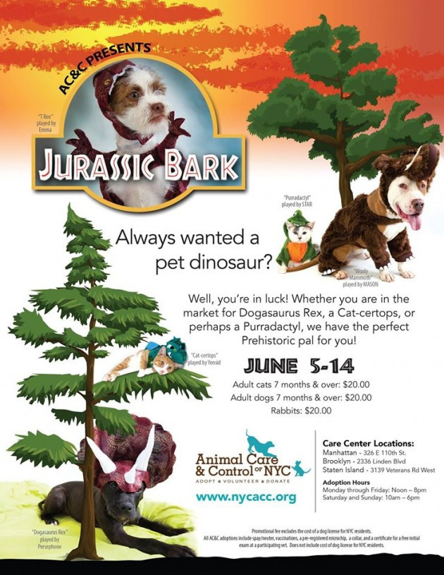 Animal Care and Control NYC Jurrasic Bark