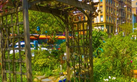 Picture Of The Day: LaGuardia Corner Gardens