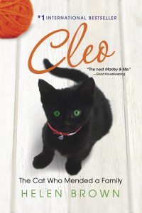 Cleo the cat who mended a family